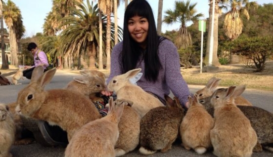 13 cosas que podrían hacer que dejes todo y te vayas a Japón