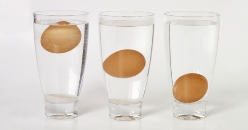 13 datos interesantes sobre la comida que definitivamente te sorprenderán