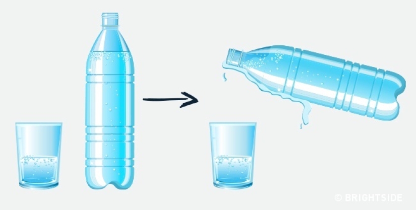 13 datos interesantes sobre la comida que definitivamente te sorprenderán
