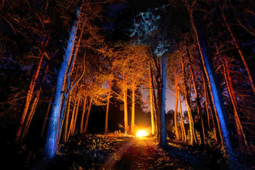 13 datos sobre Halloween que No Sabías 13 datos sobre Halloween que No Sabías