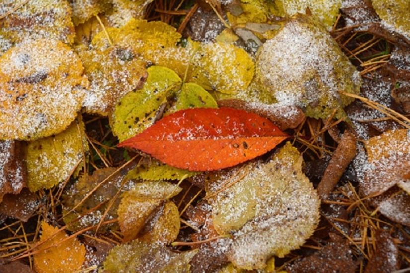 13 facts about Halloween that You Didn't Know