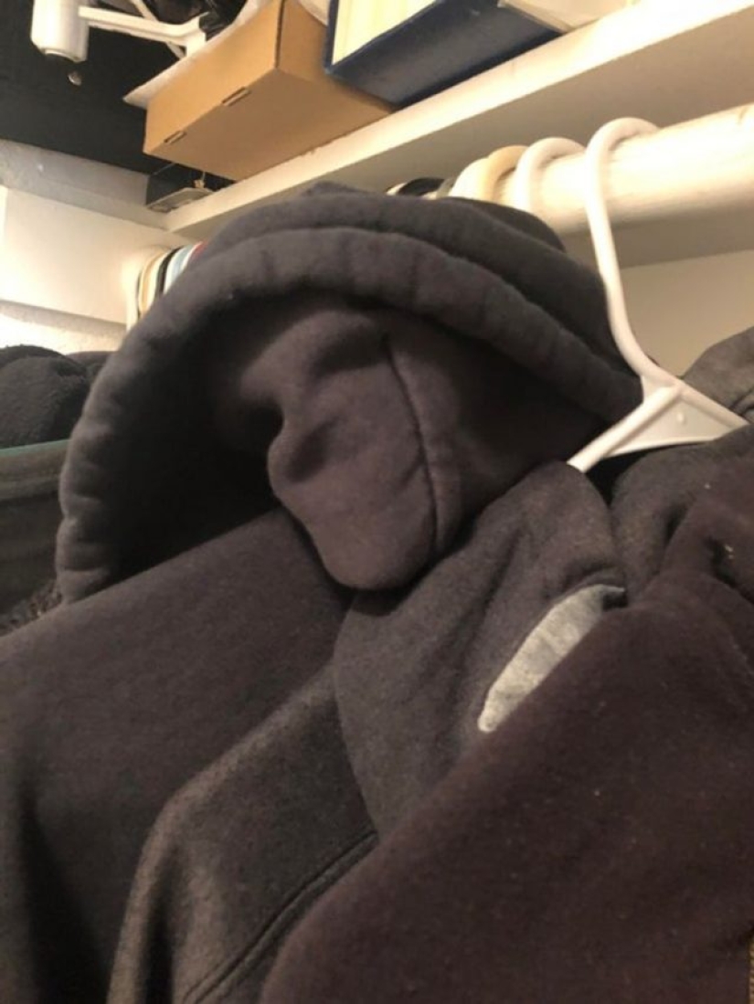 13 Objects That Unexpectedly Showed Their True Face 13 Objects That Unexpectedly Showed Their True Face