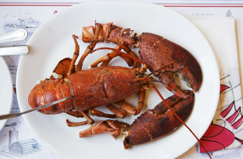 13 reglas de la corona británica que ni siquiera la reina puede romper