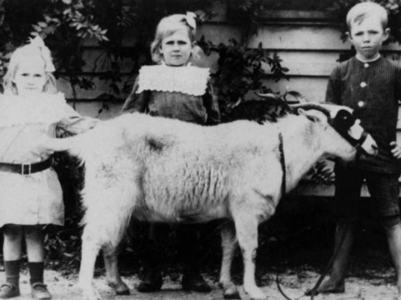 13 señales que te dicen que eres más inteligente de lo que crees