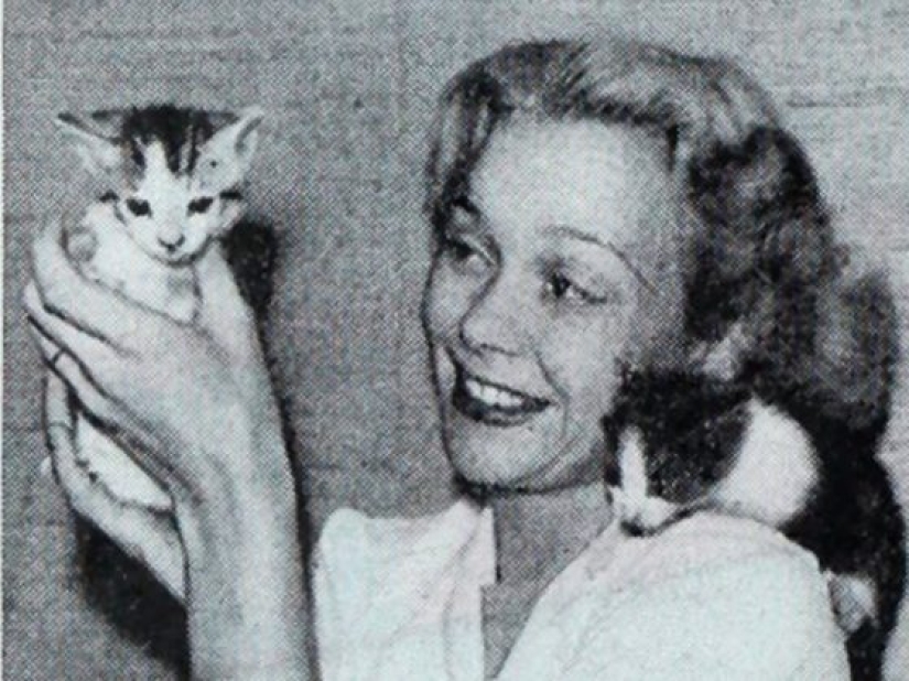 13 señales que te dicen que eres más inteligente de lo que crees