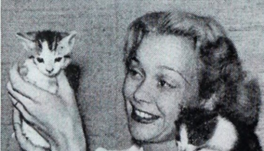 13 señales que te dicen que eres más inteligente de lo que crees