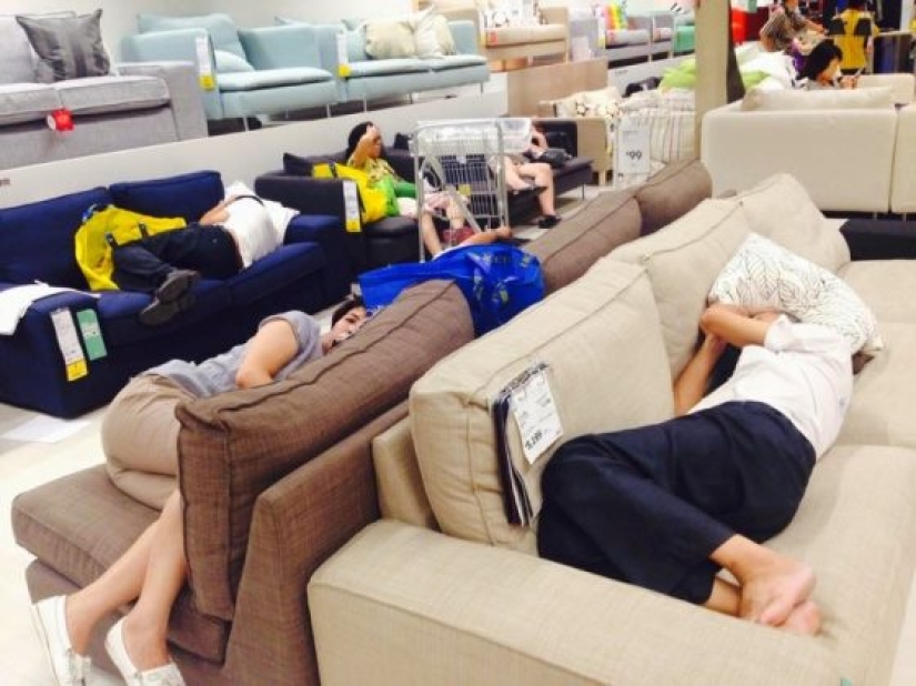 13 things you can only see in Asia