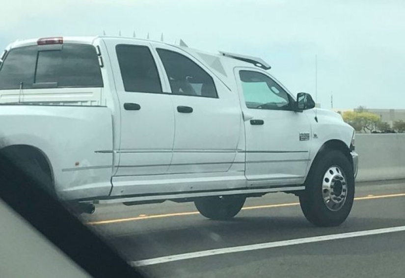 14 absurd photos that will shock anyone