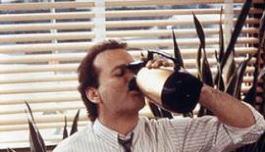 14 cosas que no sabías sobre el Día de la Marmota