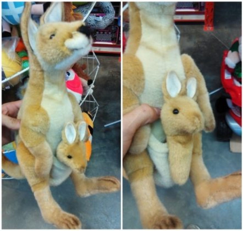 14 Crazy Things We Can See in Toy Stores