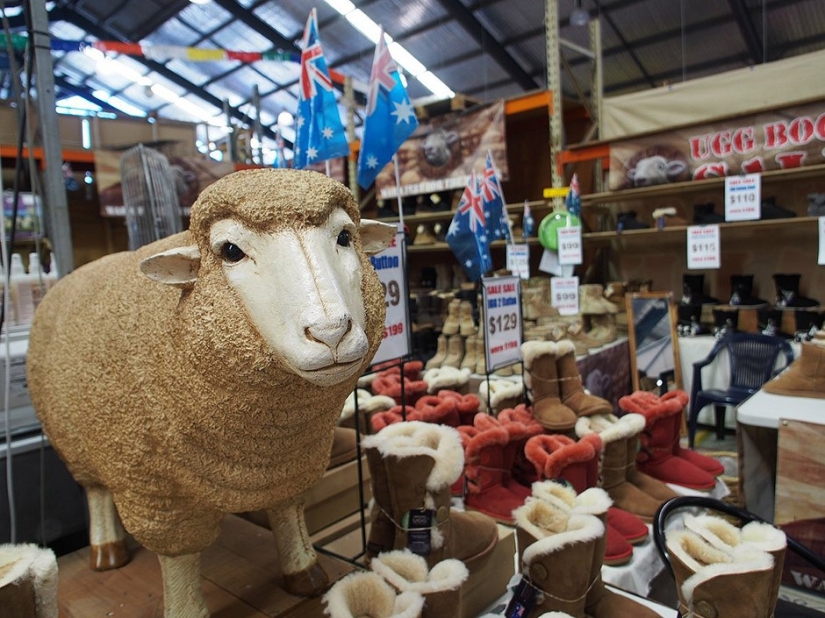 14 datos sobre Australia con los que probablemente no estabas familiarizado