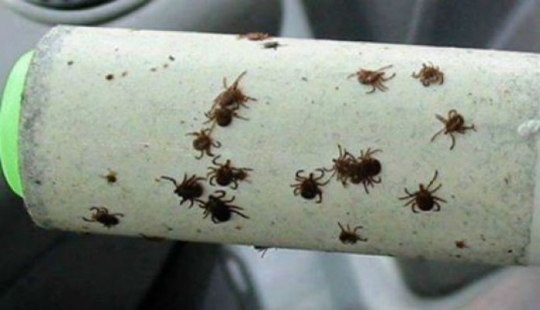 14 great life hacks for the best outdoor recreation