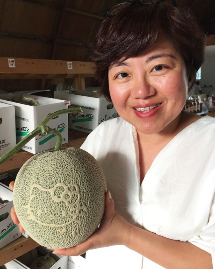 14 hechos que prueban que Japón vive en 3022