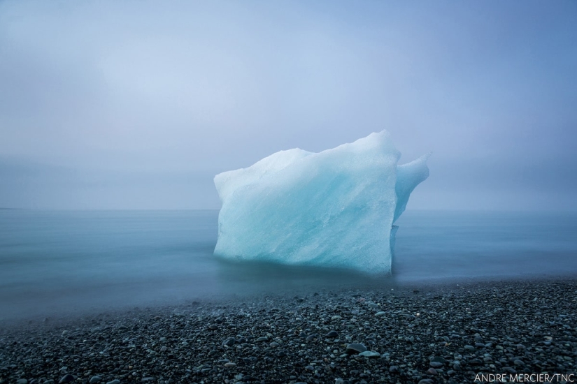 14 impresionantes imágenes de los ganadores del concurso Nature Conservancy 2018