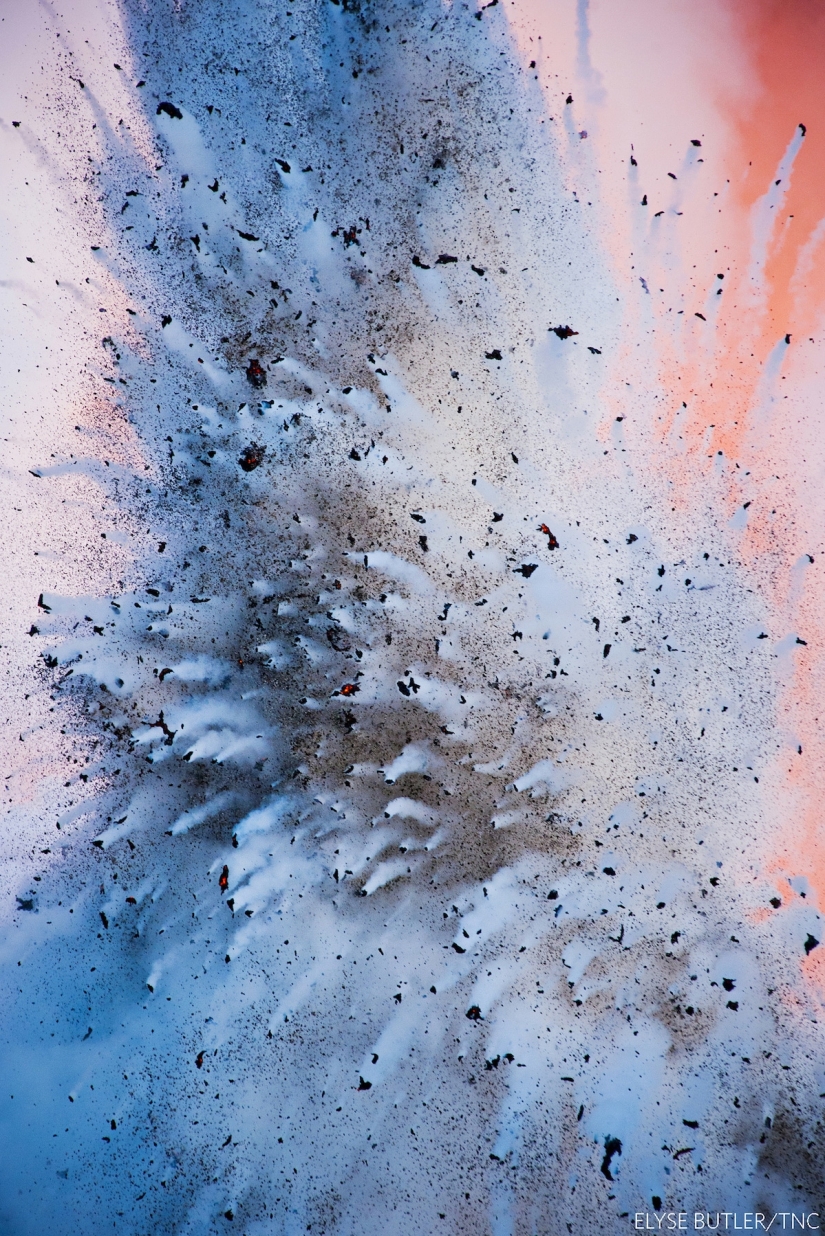 14 impresionantes imágenes de los ganadores del concurso Nature Conservancy 2018