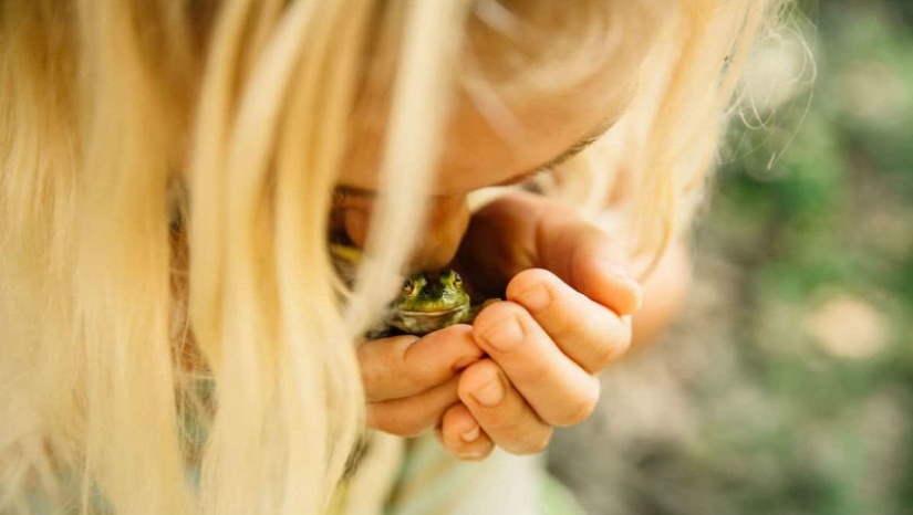 14 impressive pictures of the winners of the Nature Conservancy 2018 contest