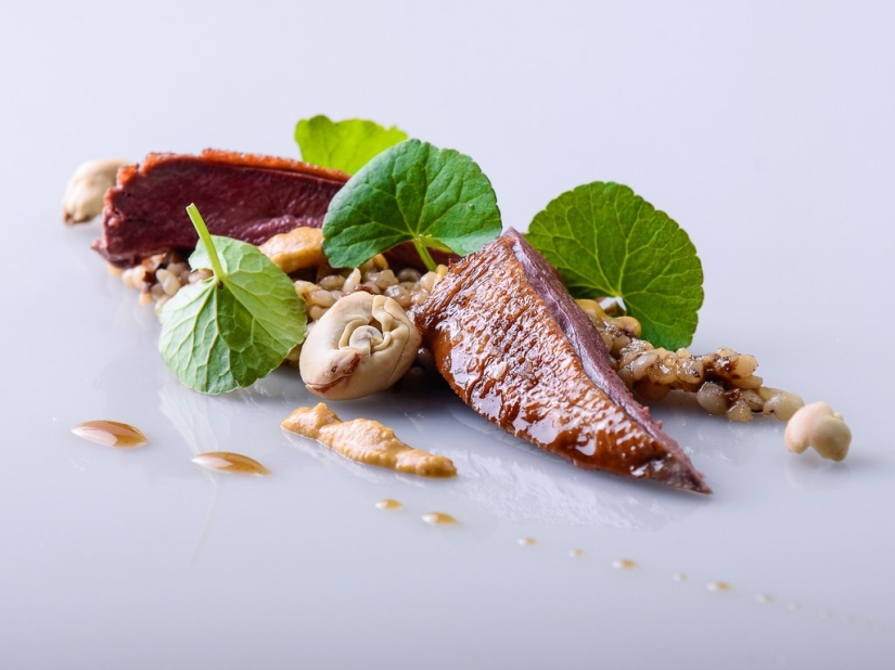 14 new travel destinations