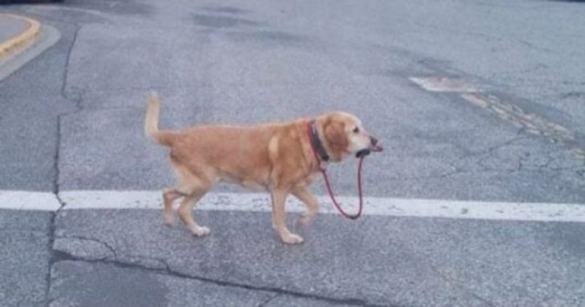 14 personas que se mudaron a 3022 mientras todavía estamos en 2022