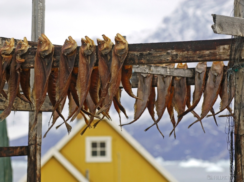 14 photos that will make you want to visit Greenland