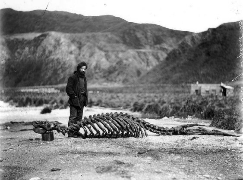 14 Rare Historical Photos That Can Make You Feel the Past