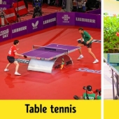 14 sports questions we've always wanted to ask