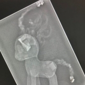14 Things Nature Can't Show, But An X-Ray Can Show