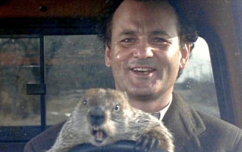 14 Things You Didn't Know About Groundhog Day