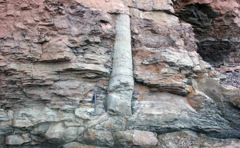 15 Ancient Fossils That Will Make You Say "Wow" 15 Ancient Fossils That Will Make You Say "Wow"