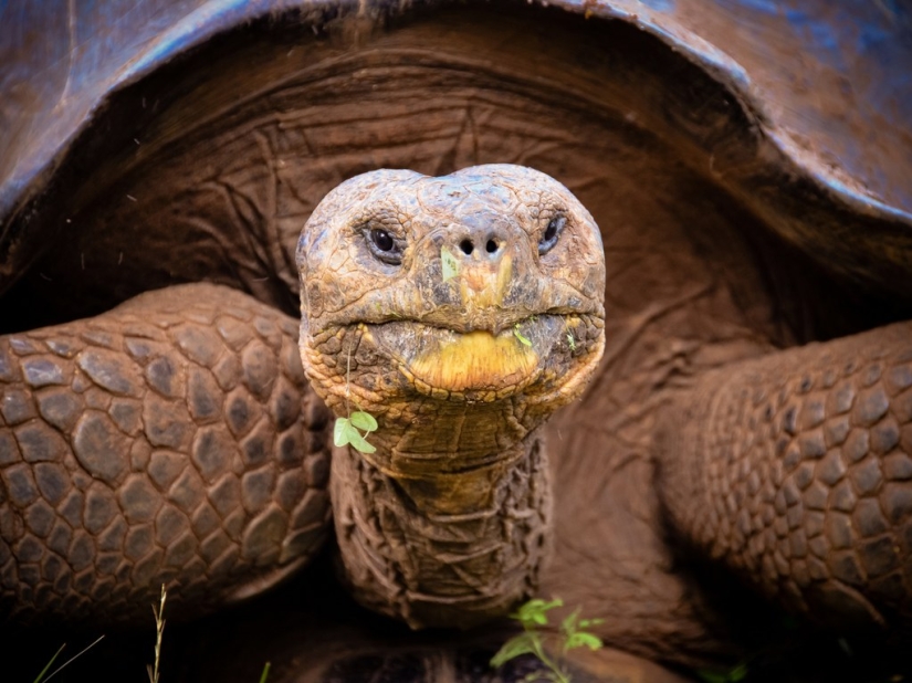 15 best places to see wild animals 15 best places to see wild animals