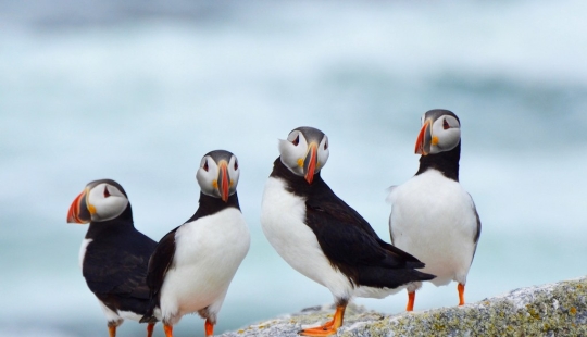 15 best places to see wild animals