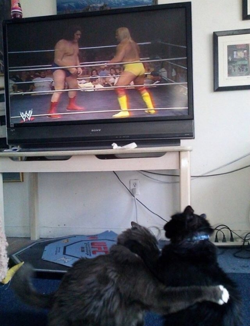 15 coincidencias que refutan la teoría de la probabilidad