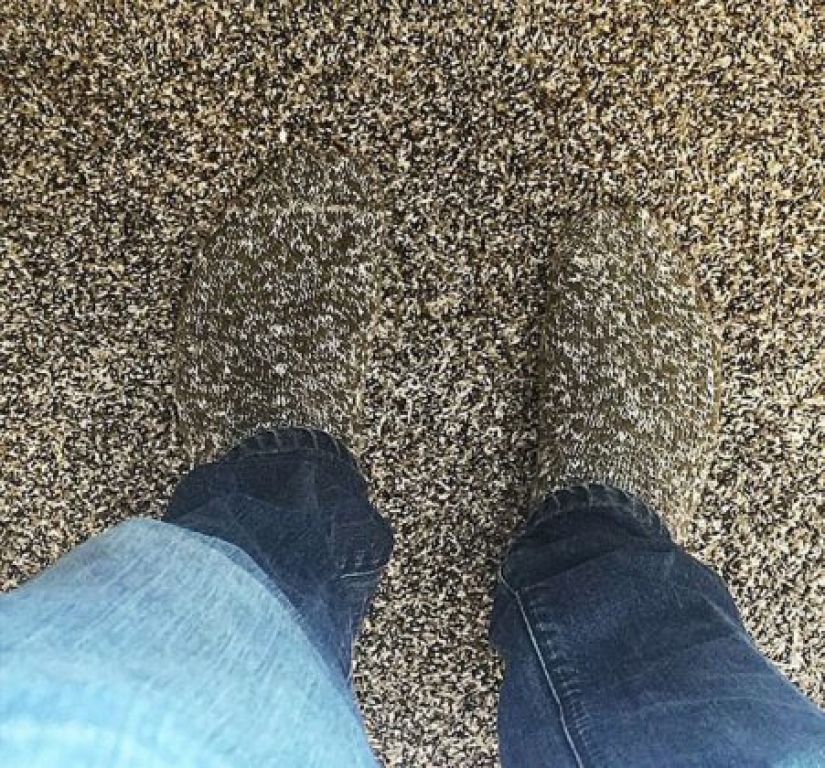 15 coincidencias que refutan la teoría de la probabilidad