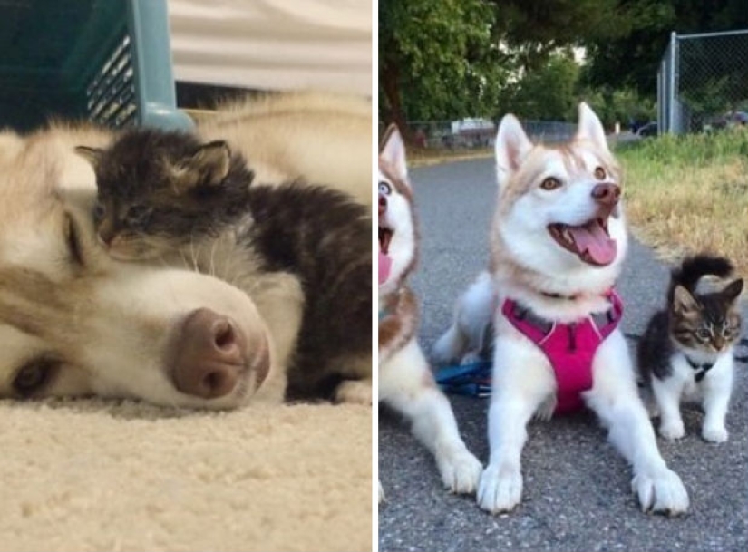 15 fotos que harán que tu día sea un poco mejor