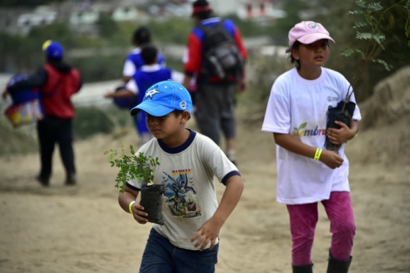 15 fotos que harán que tu día sea un poco mejor