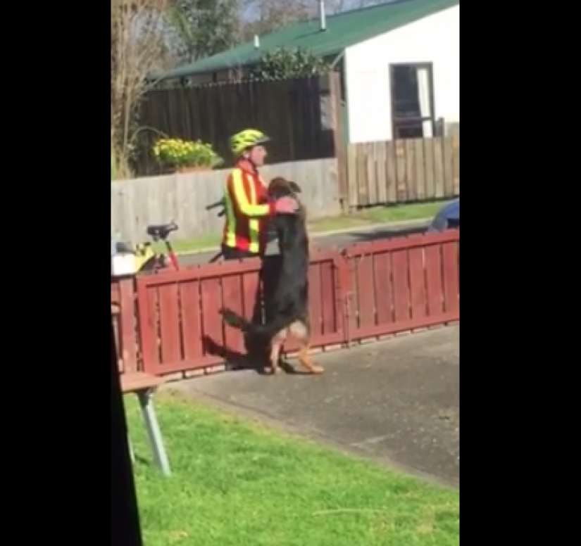 15 fotos que harán que tu día sea un poco mejor