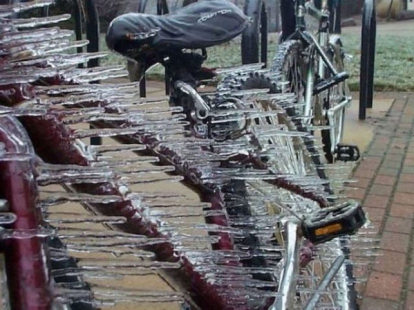 15 fotos que prueban que el viento tiene sentido del humor