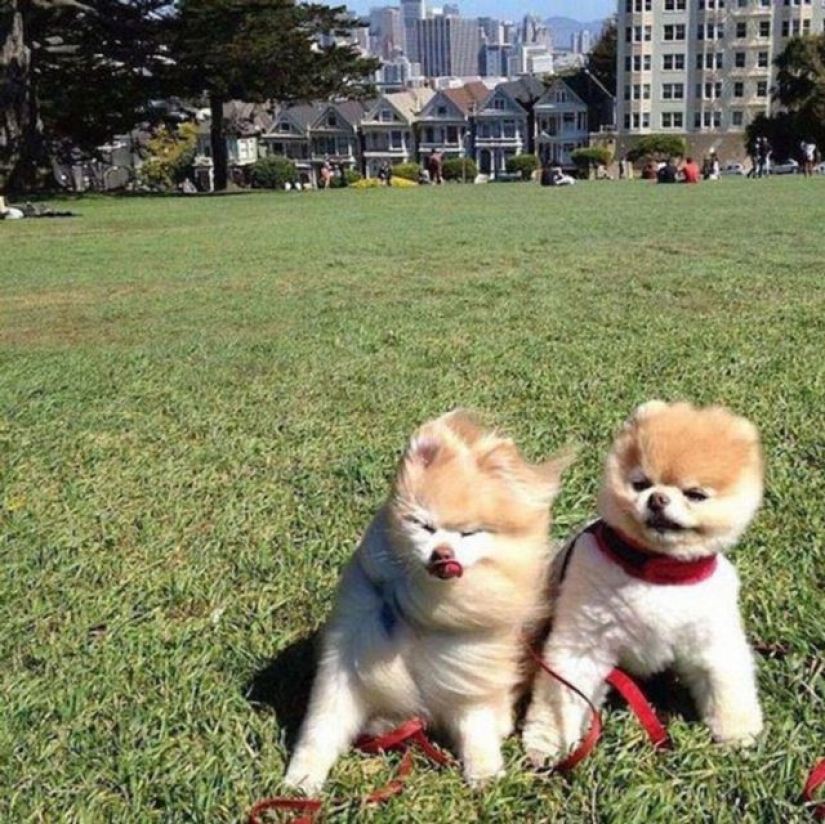 15 fotos que prueban que el viento tiene sentido del humor