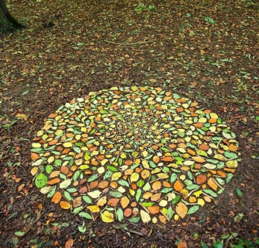 15 fotos que pueden calmar a tu perfeccionista interior