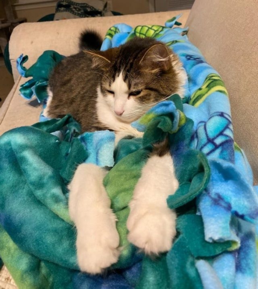 15 fotos que pueden confundir hasta a la persona más racional