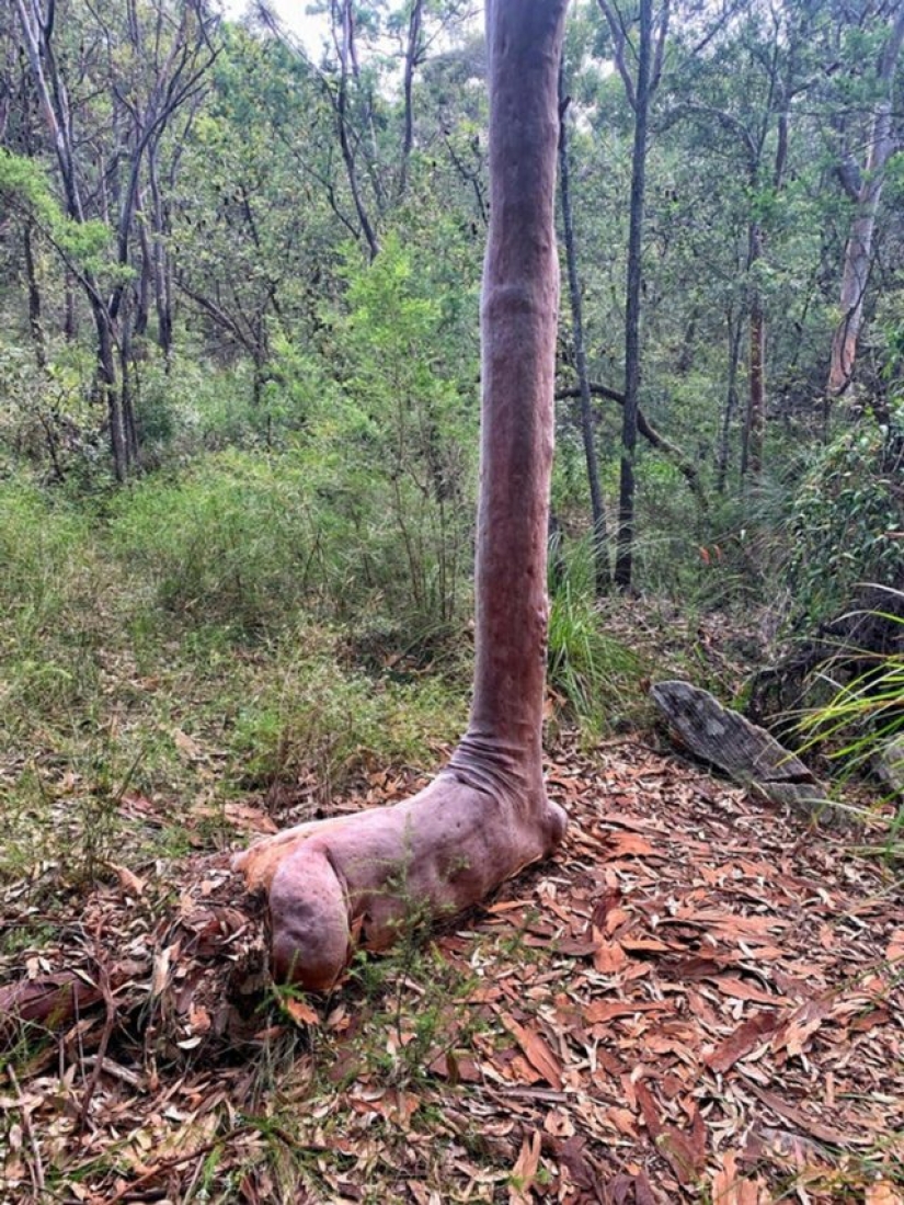 15 fotos que pueden confundir hasta a la persona más racional