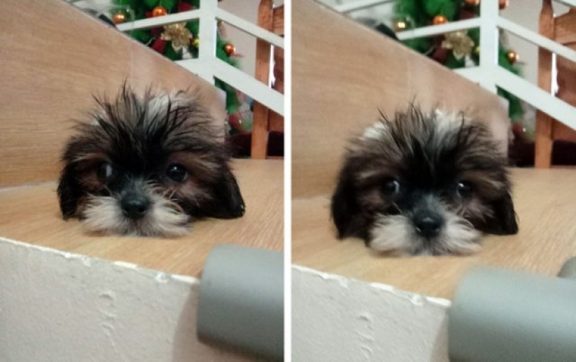 15 fotos que pueden confundir hasta a la persona más racional