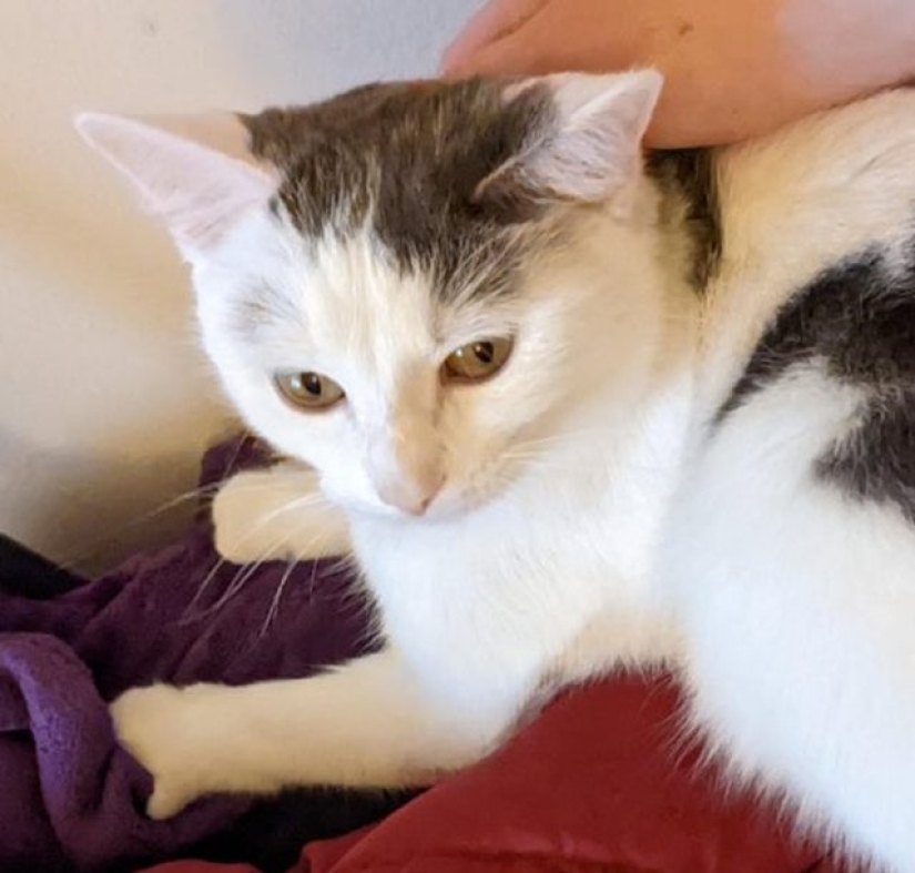 15 fotos que pueden confundir hasta a la persona más racional