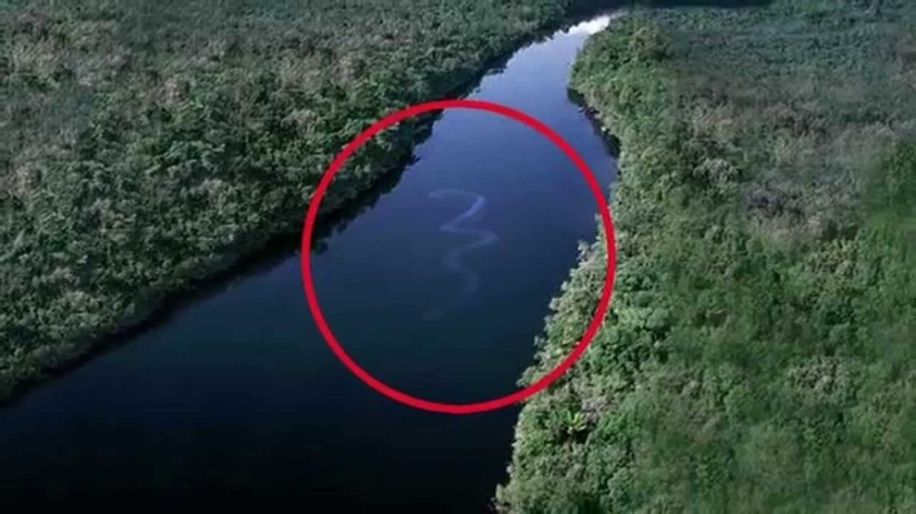 15 imágenes, después de verlas, que no metes el pie en el agua 15 imágenes, después de verlas, que no metes el pie en el agua