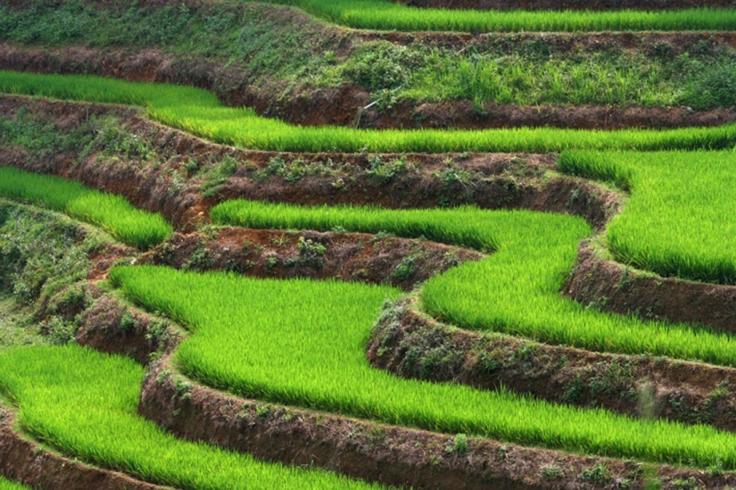 15 paradisiacal countries where it is cheaper to live than at home