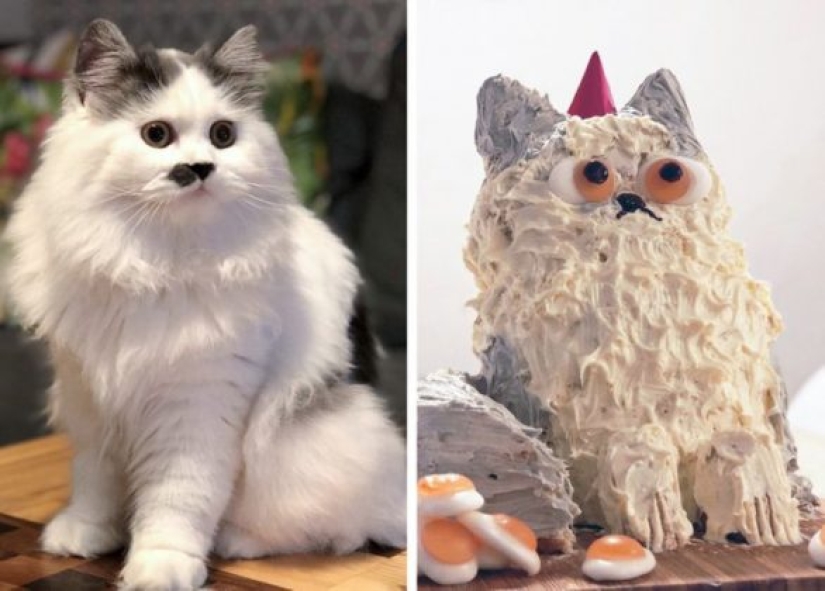 15 personas cuya mala cocción hizo reír al mundo