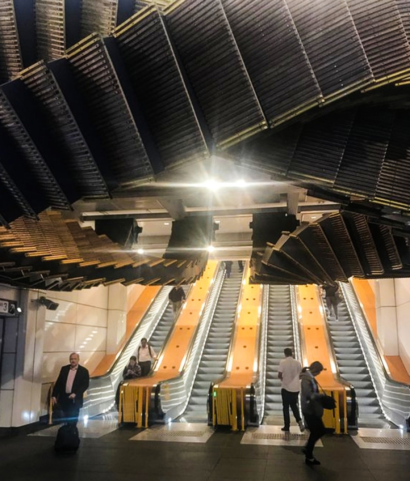 15 personas le dieron una segunda oportunidad a su basura vieja y los resultados fueron asombrosos