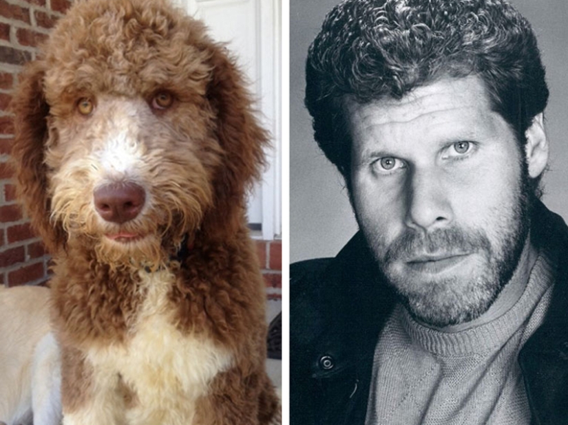 15 Photos of Animals That Strikingly Look Like Stars