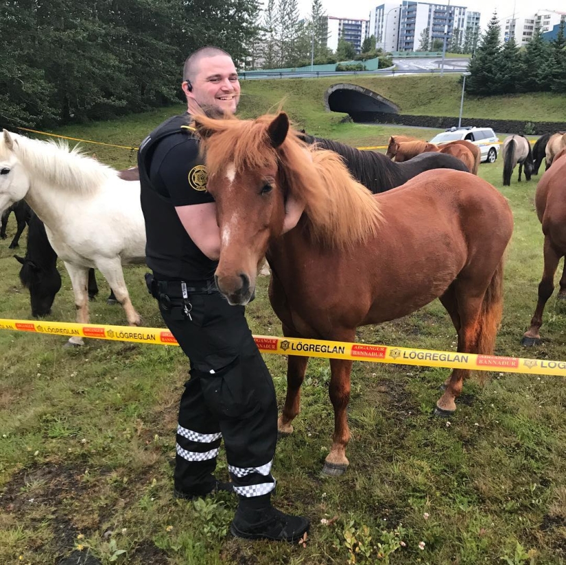 15+ photos proving that the cutest police officers work in Reykjavik