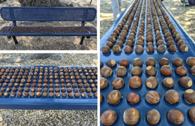 15 Photos That Can Calm Your Inner Perfectionist