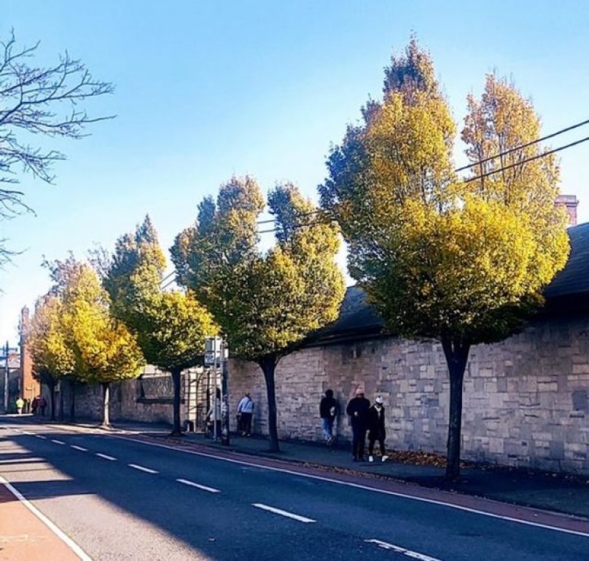 15 Photos That Can Calm Your Inner Perfectionist